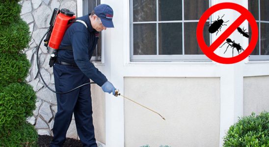 Kızıltepe Gümüşkurt İlaçlama böcek ilaçlama ve haşere kontrolü — ilaclama-tr.com